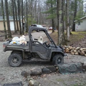 Meet your Posher, Lori